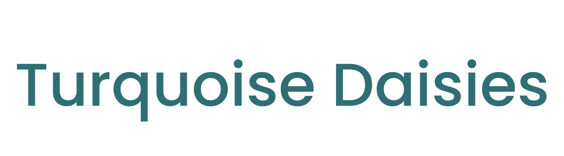 Turquoise Daisies